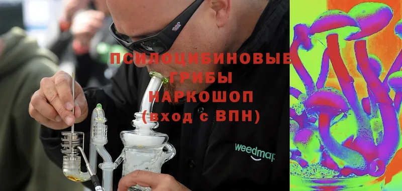 Галлюциногенные грибы MAGIC MUSHROOMS  купить наркотики сайты  ссылка на мегу   Покров 