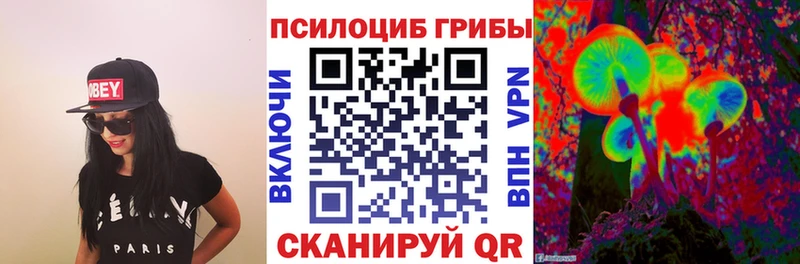 купить наркотики цена  Покров  mega онион  Псилоцибиновые грибы Psilocybine cubensis 