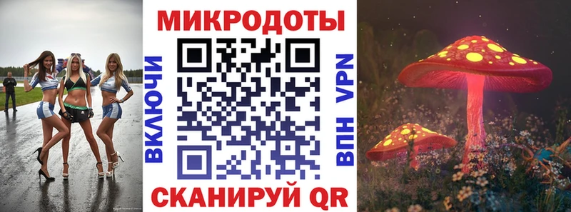 Псилоцибиновые грибы Psilocybe Покров